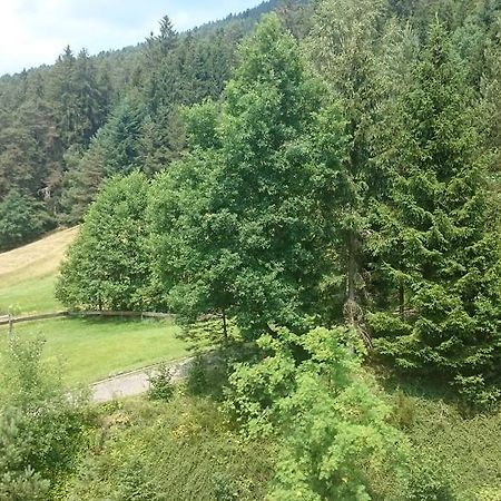 Ferienwohnungen Waldblick Baiersbronn Zimmer foto