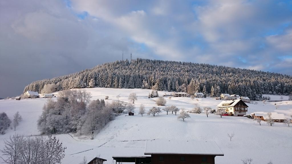 Ferienwohnungen Waldblick Baiersbronn Exterior foto