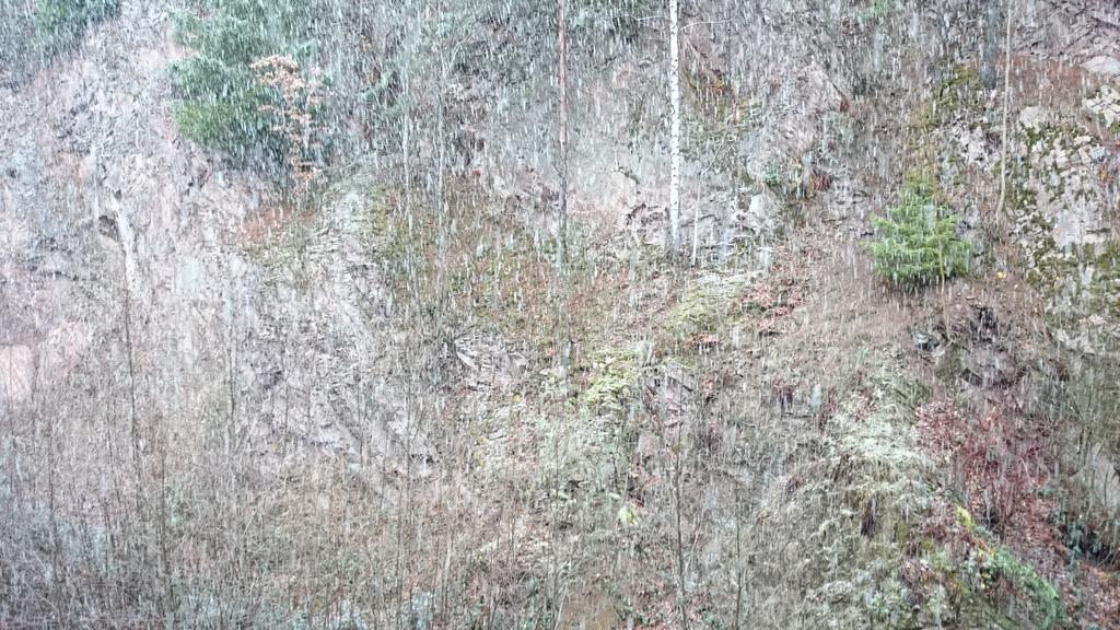 Ferienwohnungen Waldblick Baiersbronn Zimmer foto