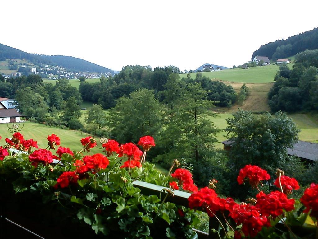 Ferienwohnungen Waldblick Baiersbronn Zimmer foto